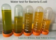مجموعة اختبار البكتيريا PLA 100 شرائط ، شرائط اختبار PET E Coli